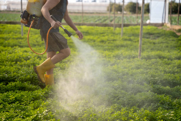 Best Affordable Pest Control Services  in Shrewsbury, NJ