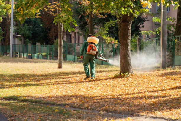 Best Pest Removal Services  in Shrewsbury, NJ