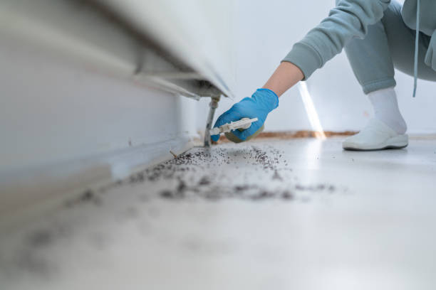 Best Wasp Removal Services  in Shrewsbury, NJ
